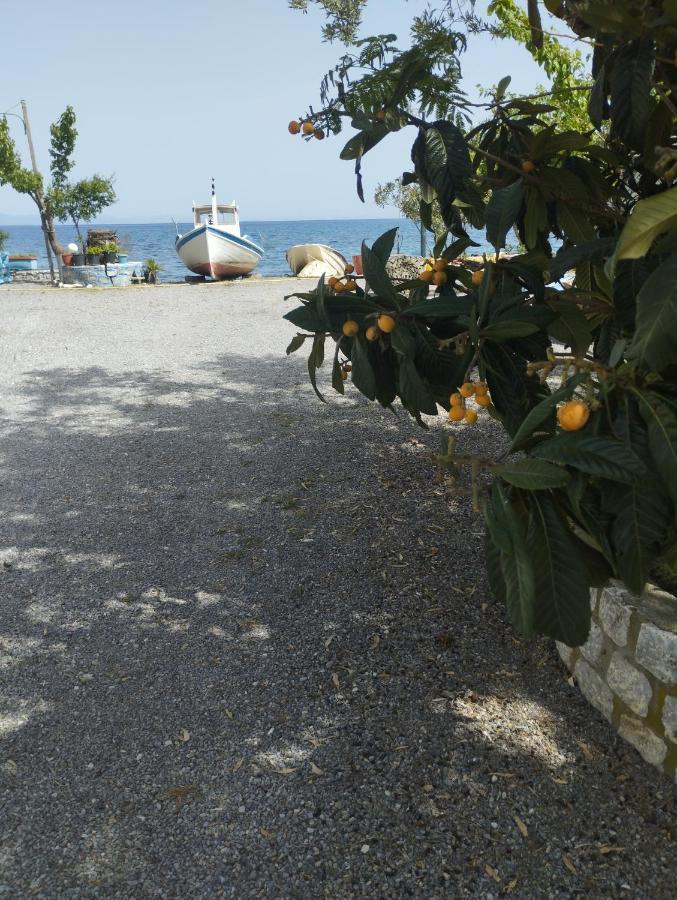 Lovely Place In 7 Apartment Kamares (Mani)